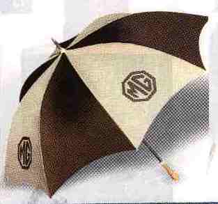 umbrella.JPG (8667 Byte)